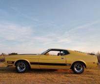 Ford Mustang Mach I Fastback 1972