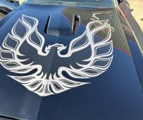 Pontiac Firebird Trans Am 1978