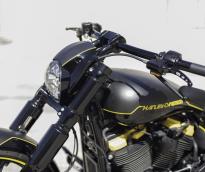 Harley Davidson Breakout FXBRS 2018