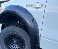 FORD F150 KING RANCH XLT E85 TVA 2011