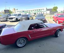Ford Mustang Cab 1965